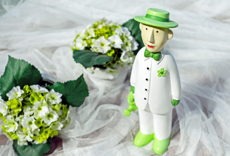 vente-SOLLIES TOUCAS-min_man-person-flower-green-toy-fig-546529-pxhere.com